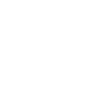 Countries Icon