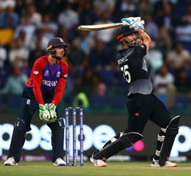 Cricket Playing Image